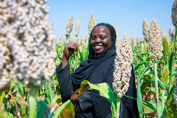 A resilient farmer from Gedaref, stands proudly in her sorghum field, filled with hope and pride as she looks forward to a successful harvest. ©FAO/Mahmoud Shamrouk