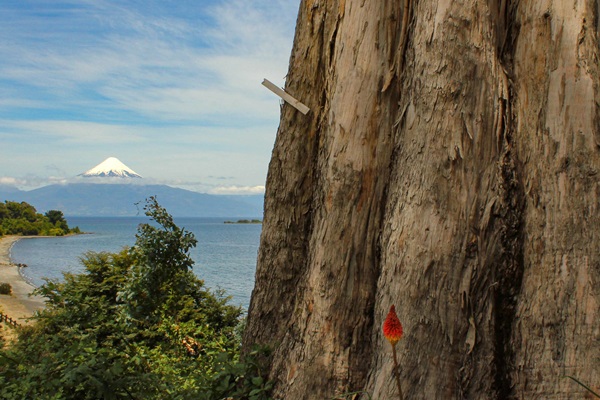 sur de chile
