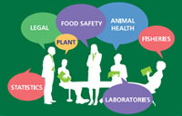 Key sectors